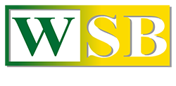 Logotipo WSB Instrumentação Analítica