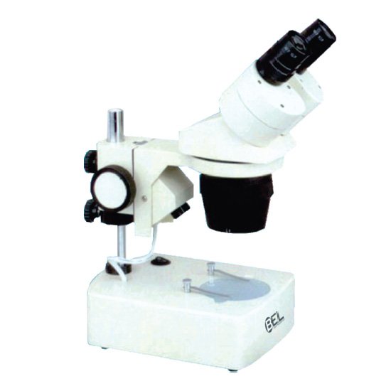 Estereomicroscópio STMBASIC 3B1 WSB Analítica